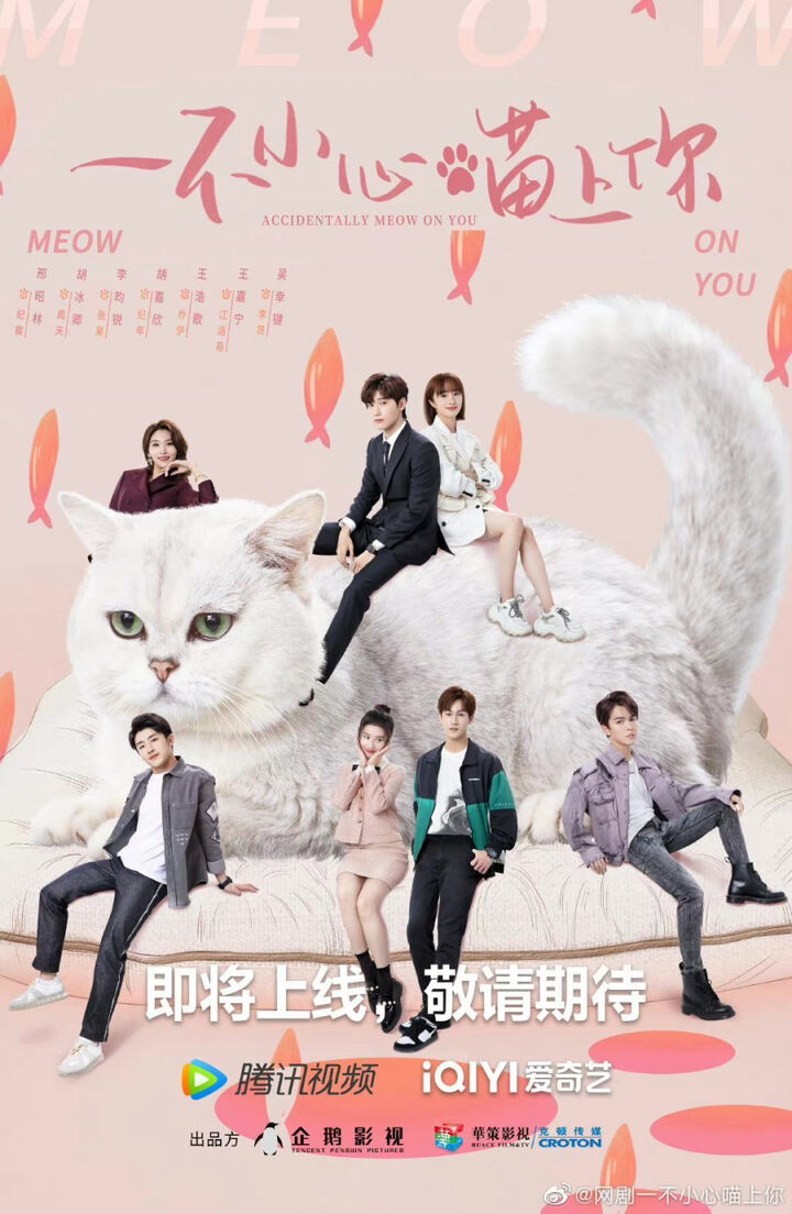 Tập 1 phim Bất Cẩn Meow Phải Anh