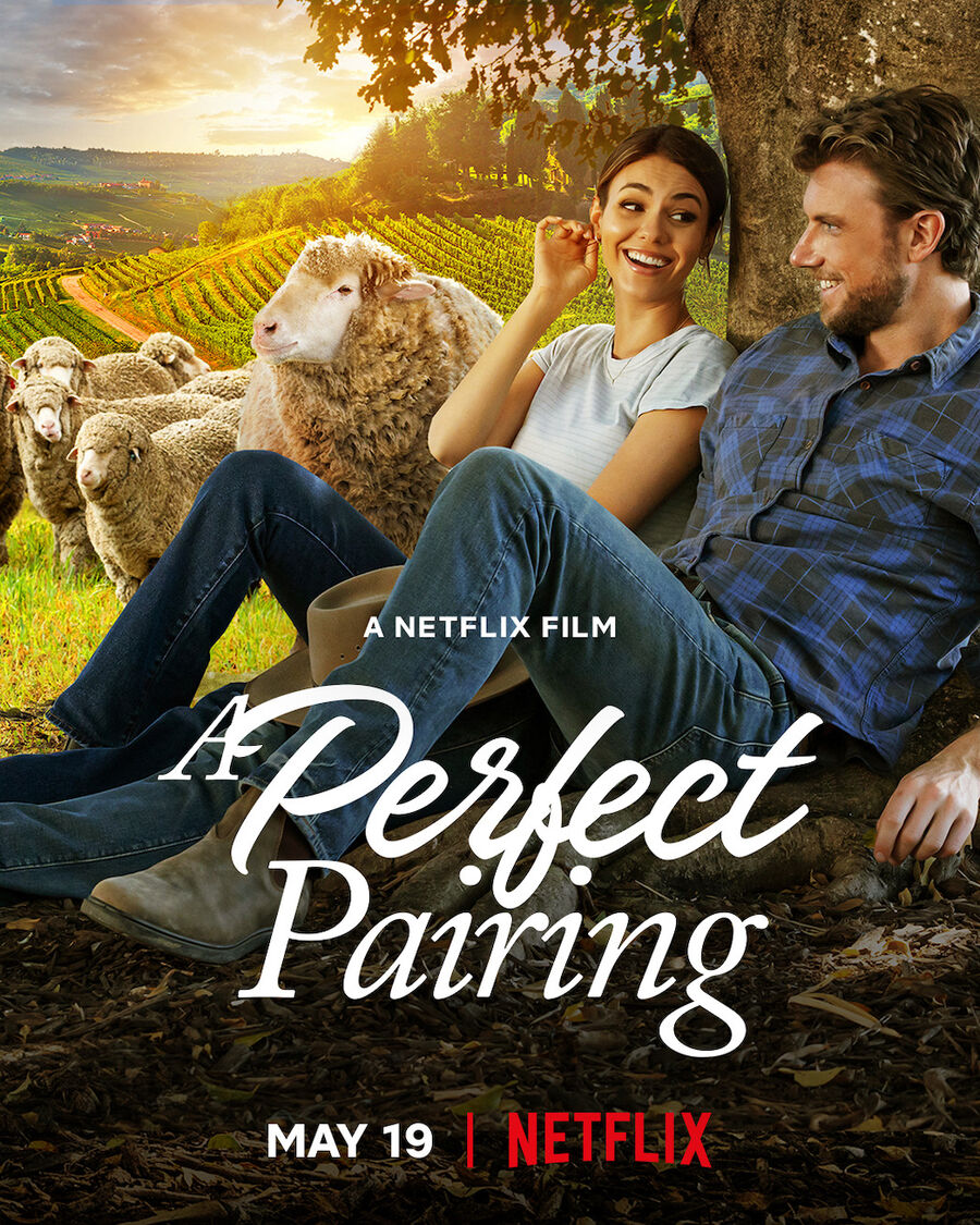 Hình ảnh phim Bộ đôi hoàn mỹ