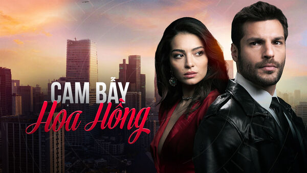 Poster phim Cạm Bẫy Hoa Hồng
