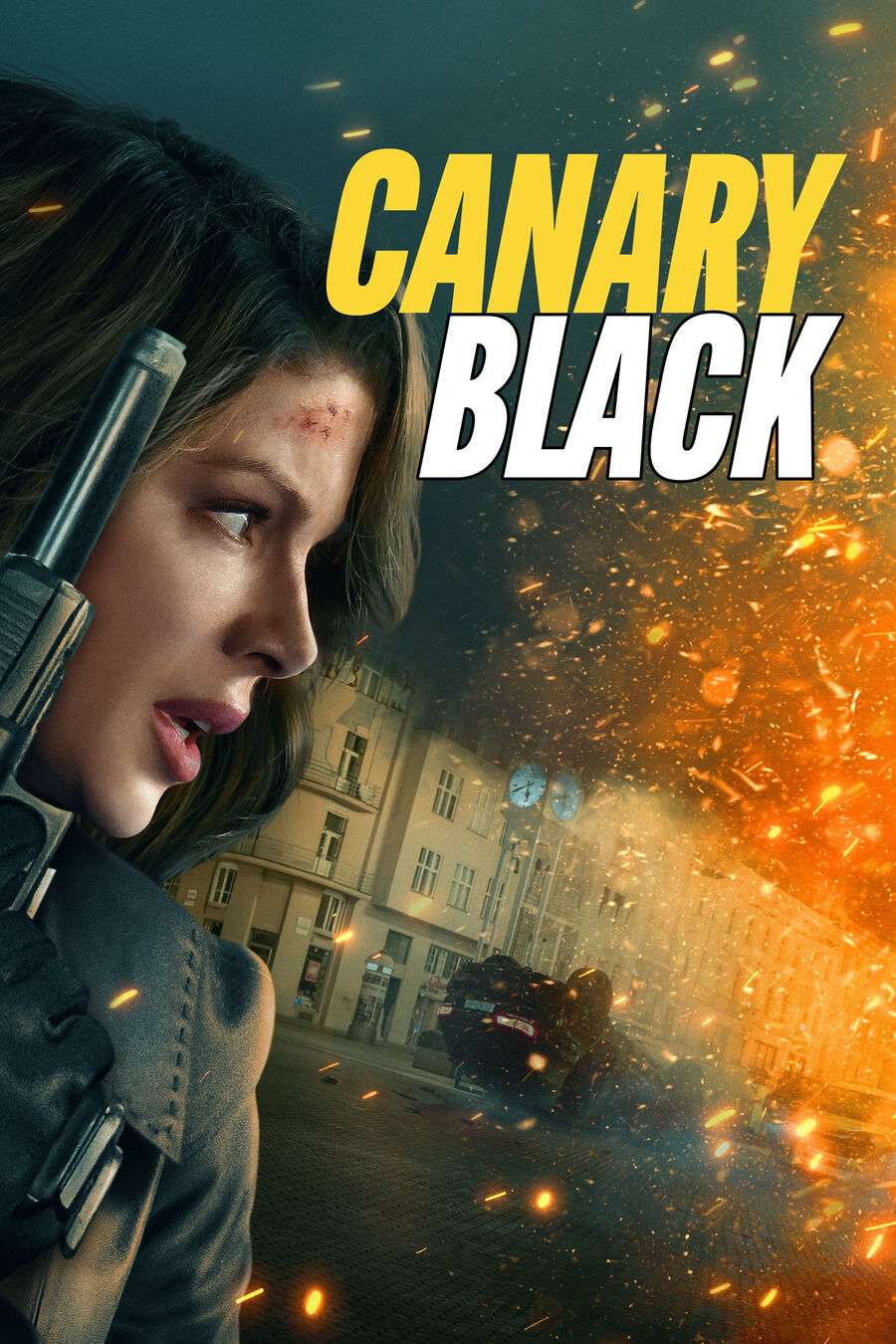 Hình ảnh phim Canary Black