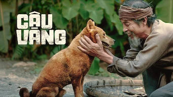 Hình ảnh phim Cậu Vàng