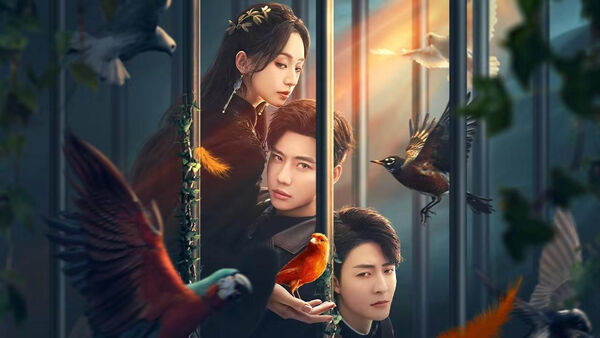 Poster phim Chim Sẻ Trong Lòng Bàn Tay