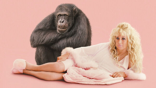 Poster phim Chimp Crazy