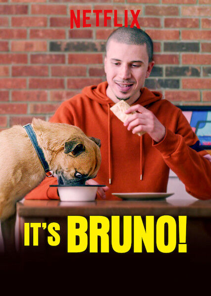 Hình ảnh tập 2 Chú chó Bruno