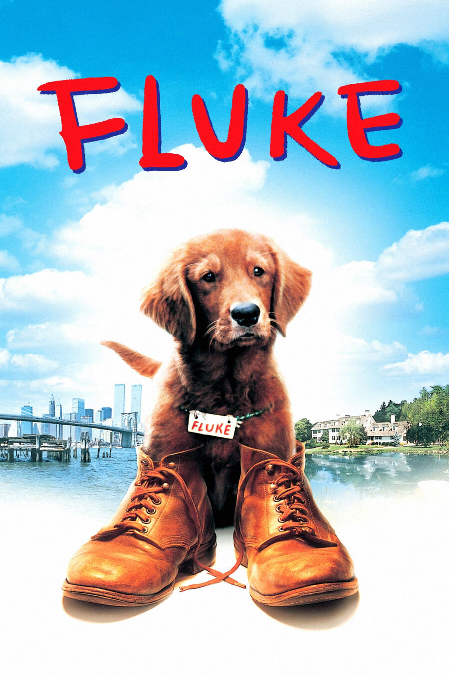 Hình ảnh phim Chú Chó Fluke