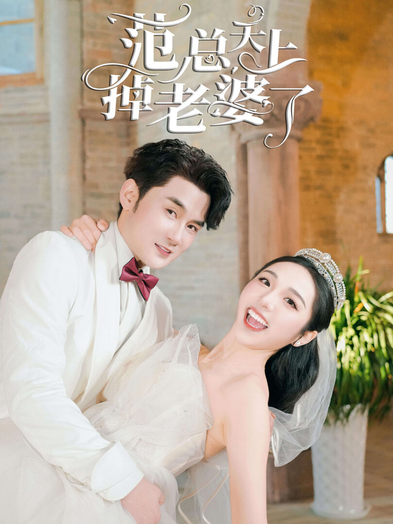 Hình ảnh phim Cô Vợ Trên Trời Rơi Xuống Của Phạm Tổng