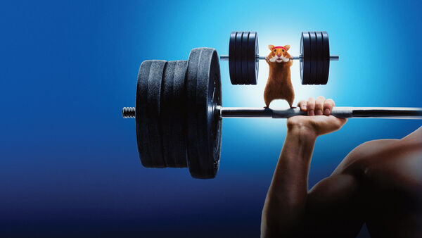 Poster phim Con Người Đấu Với Hamster