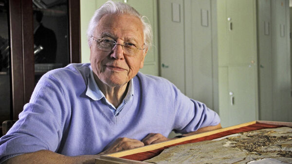 Poster phim David Attenborough’s Rise of Animals: Triumph of the Vertebrates