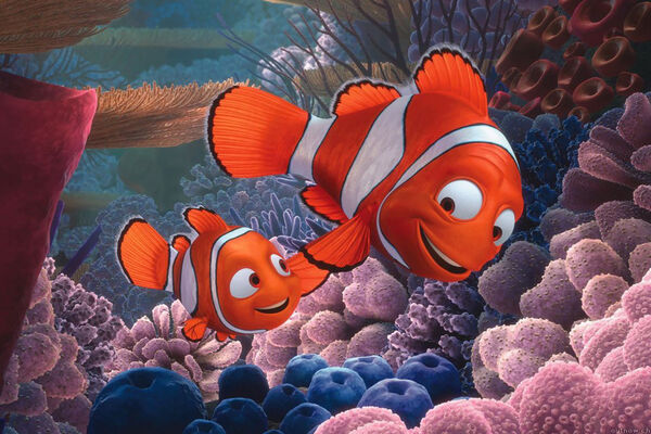 Poster phim Đi Tìm Nemo