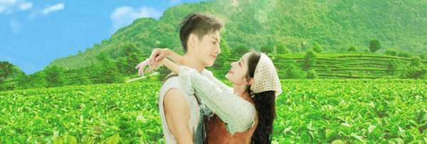 Poster phim Đồi Trà Tình Yêu