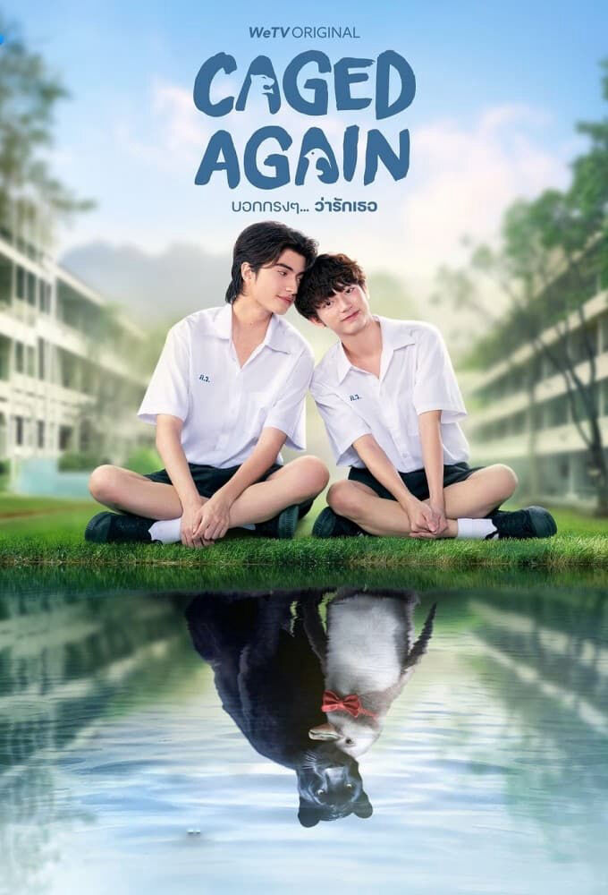 Hình ảnh phim Dũng Cảm Nói Yêu Người