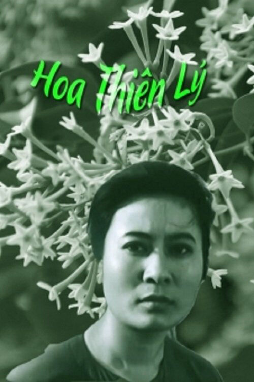 Poster phim Hoa Thiên Lý