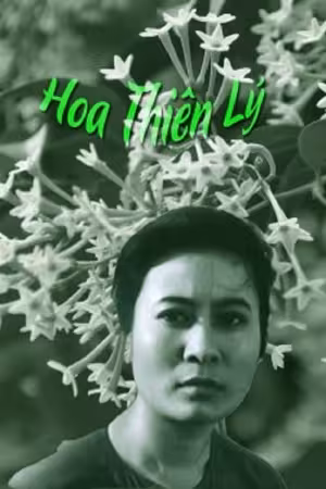 Hoa Thiên Lý