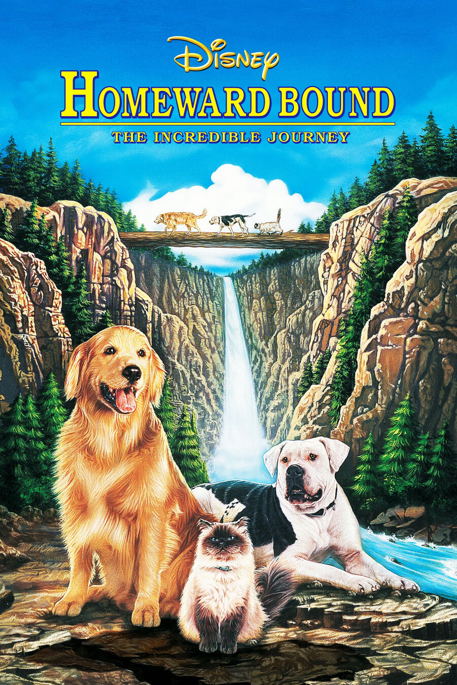 Hình ảnh phim Homeward Bound: The Incredible Journey