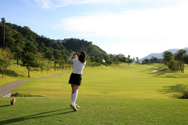 Poster phim Khi Phụ Nữ Chơi Golf