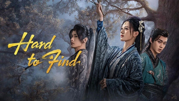 Poster phim Khó Tìm (Nan Tầm)