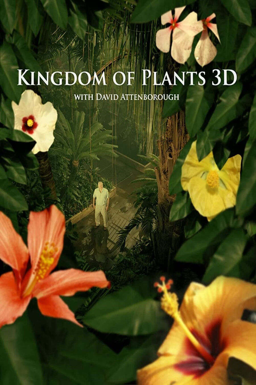 Hình ảnh phim Kingdom of Plants