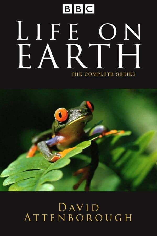 Hình ảnh phim Life on Earth