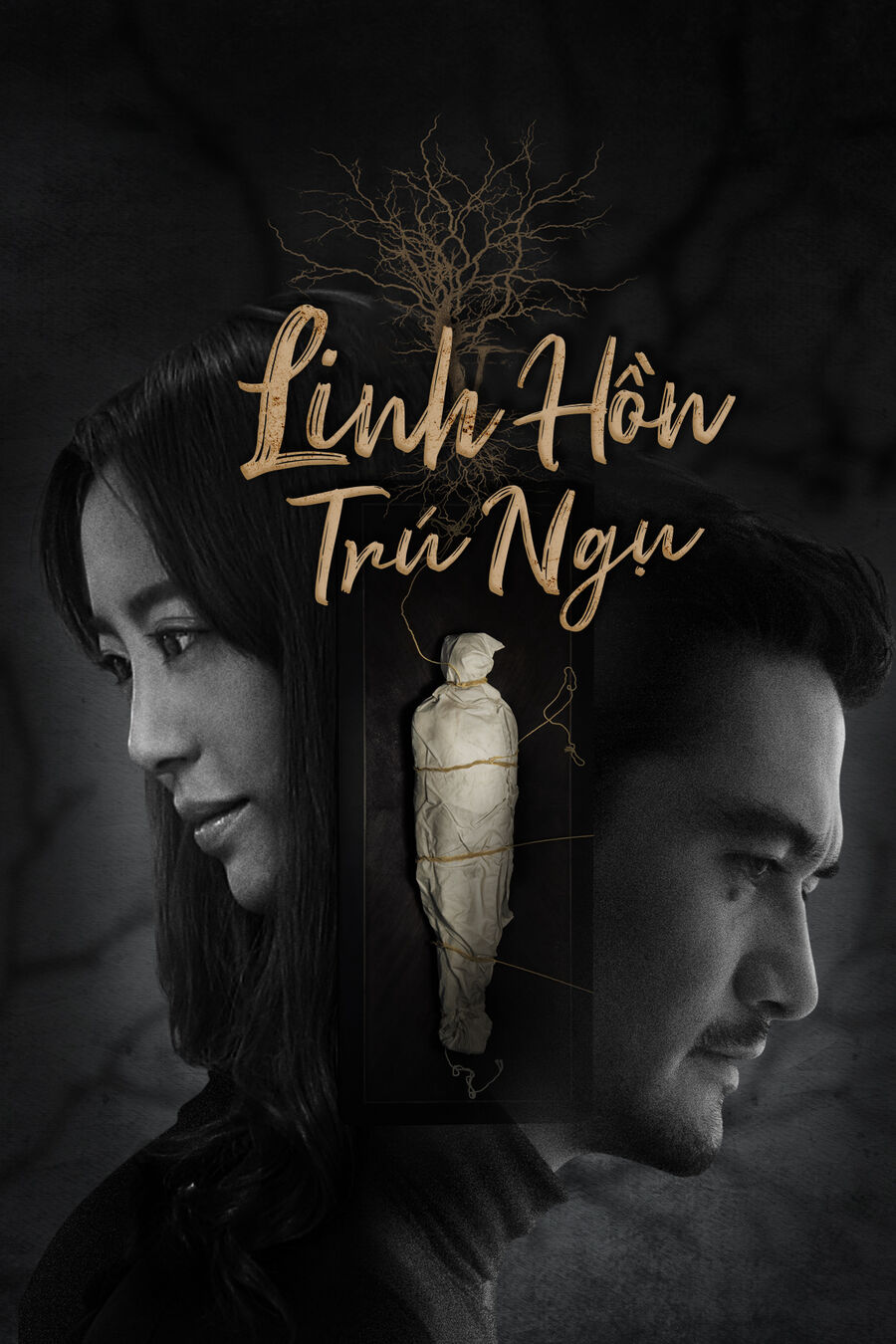 Hình ảnh phim Linh Hồn Trú Ngụ