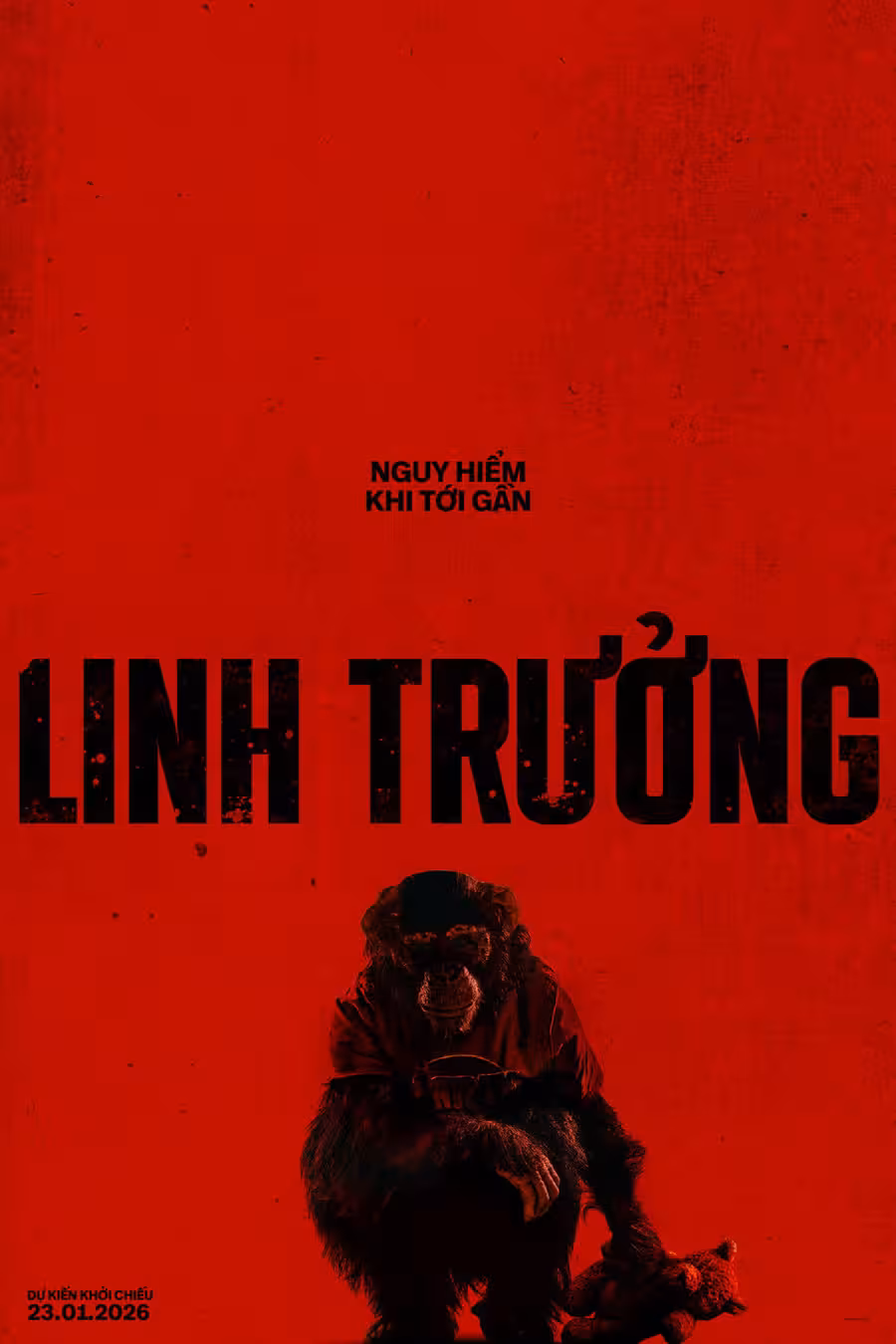 Hình ảnh phim Linh Trưởng