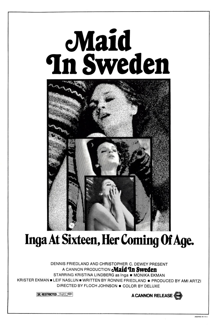 Hình ảnh phim Maid in Sweden