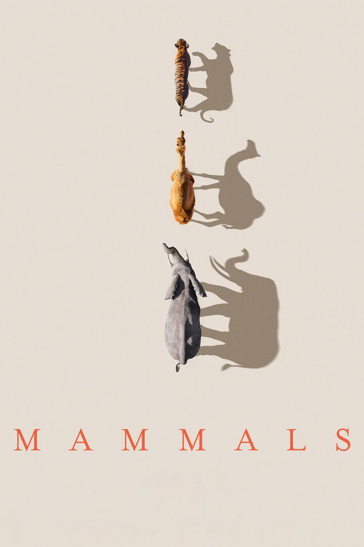 Tập 1 phim Mammals (2024)