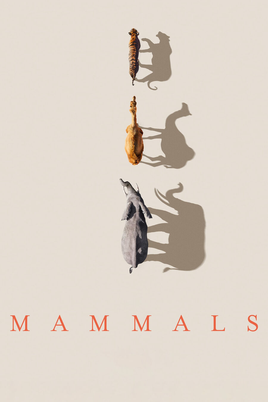 Hình ảnh phim Mammals (2024)