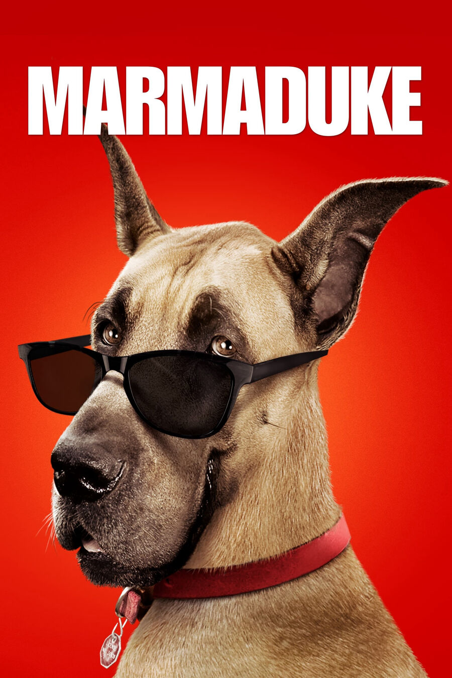 Hình ảnh phim Marmaduke: Khuấy Động Mùa Hè