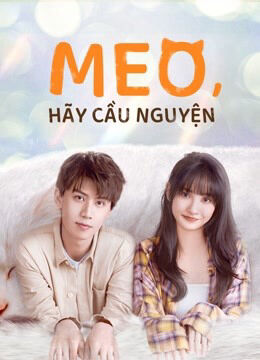 Hình ảnh phim Meo, Hãy Cầu Nguyện