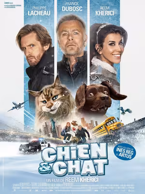 Mèo và Chó