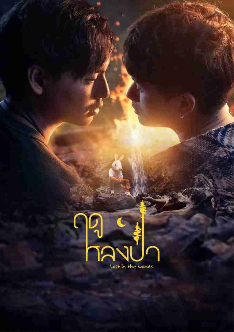 Hình ảnh phim Mùa Lạc Trong Rừng