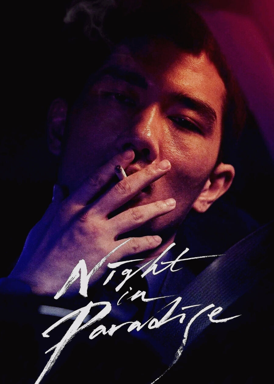 Hình ảnh phim Night in Paradise