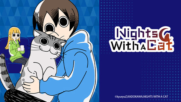 Poster phim Nights with a Cat