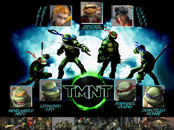 Poster phim Ninja Rùa