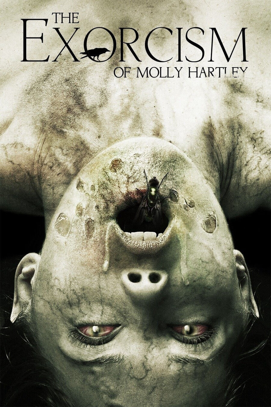 Hình ảnh phim Nỗi Ám Ảnh Của Molly