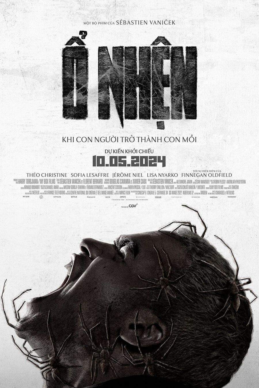 Hình ảnh phim Ổ Nhện