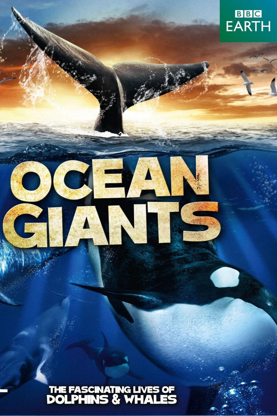 Hình ảnh phim Ocean Giants