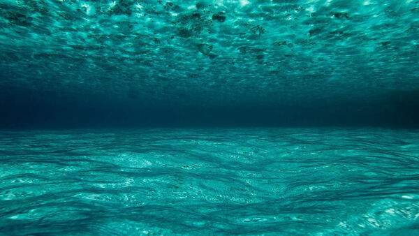 Poster phim OceanWorld 3D