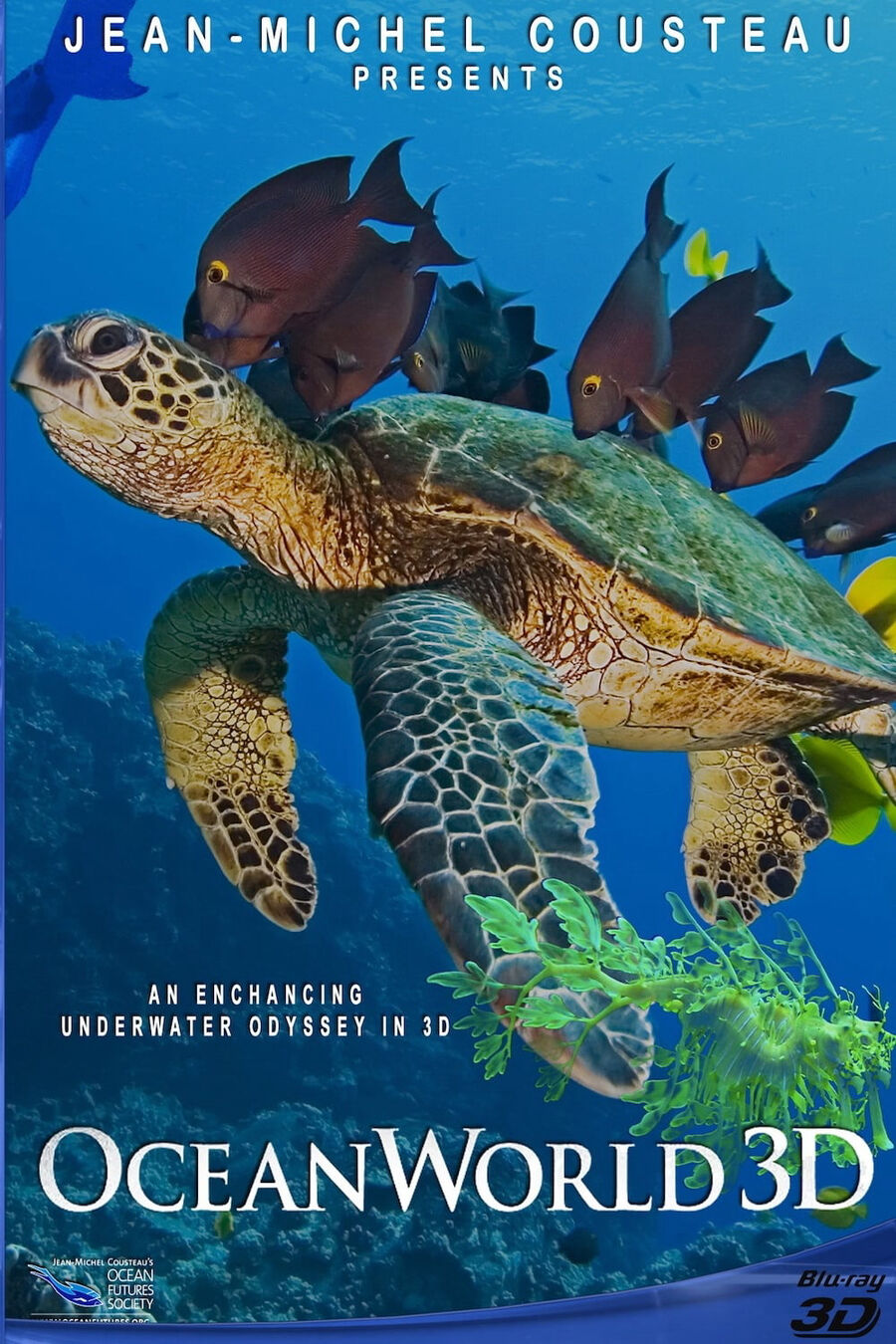 Hình ảnh phim OceanWorld 3D