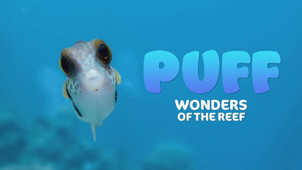 Poster phim Puff: Rạn san hô kỳ diệu