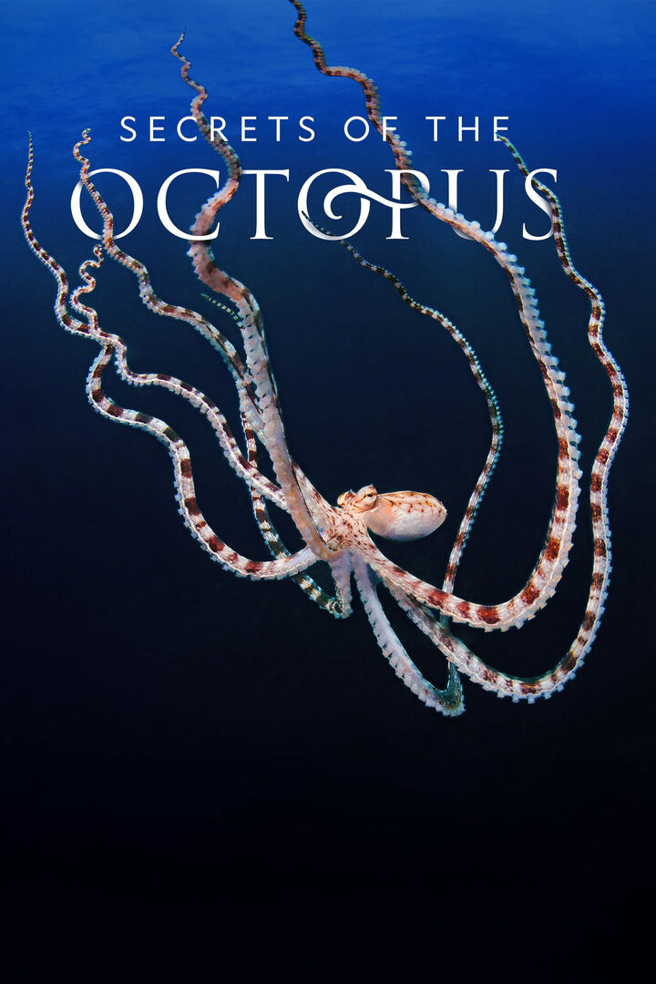 Tập 1 phim Secrets of the Octopus