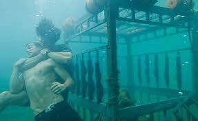 Poster phim Shark Night 3D