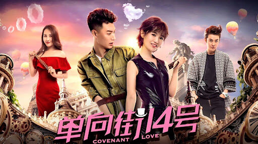 Poster phim Số 14 đường ngược chiều