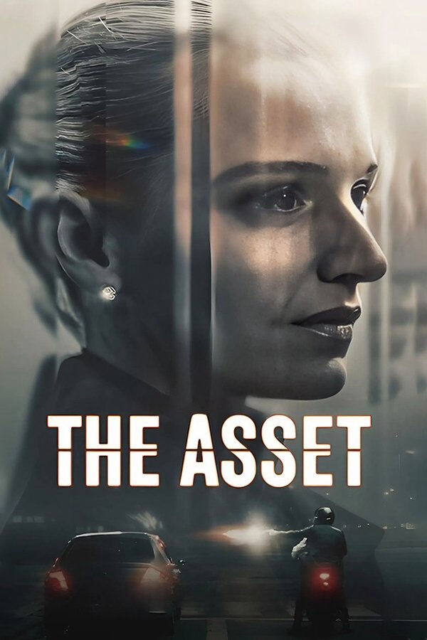 Hình ảnh phim The Asset