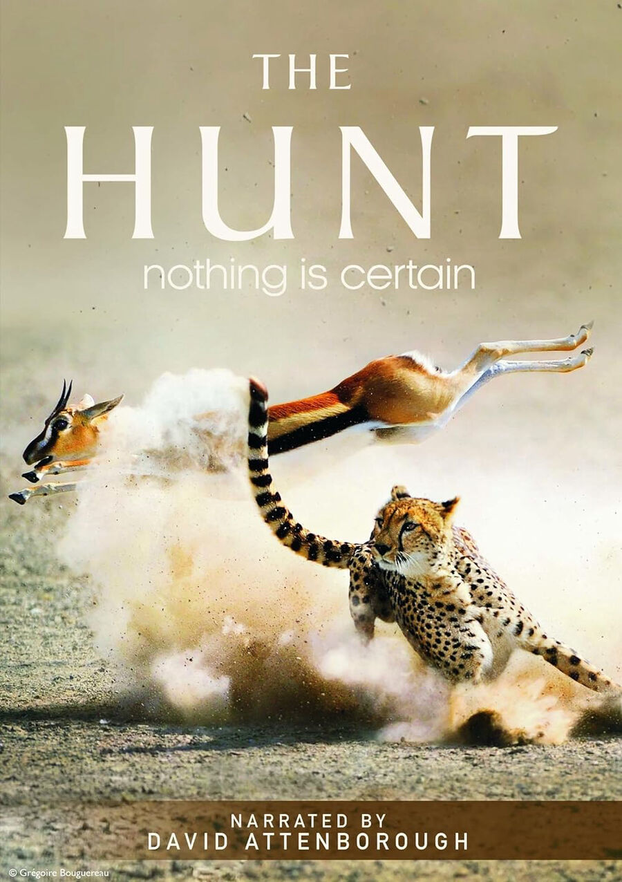 Hình ảnh phim The Hunt