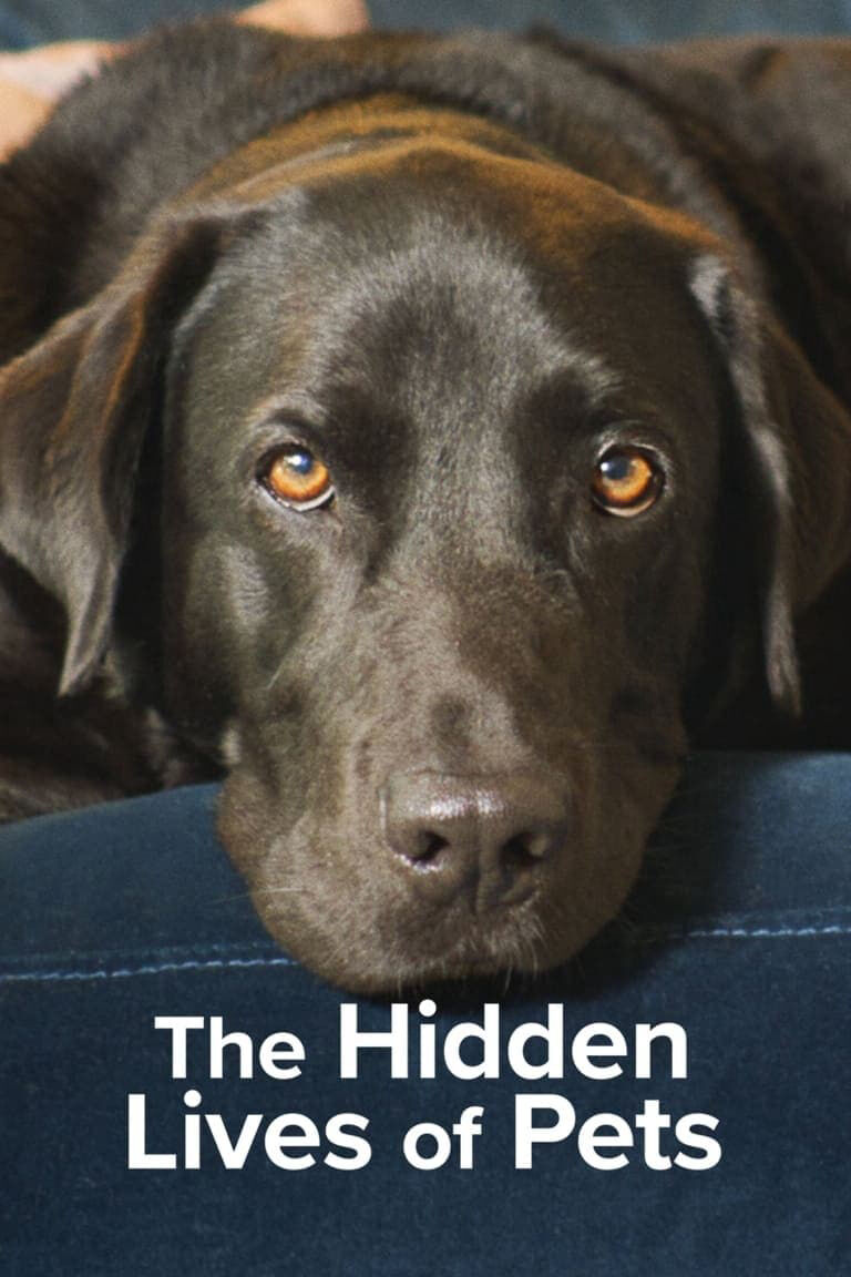 Hình ảnh phim The Secret Life of Our Pets