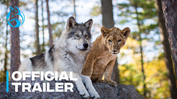 Poster phim The Wolf and the Lion