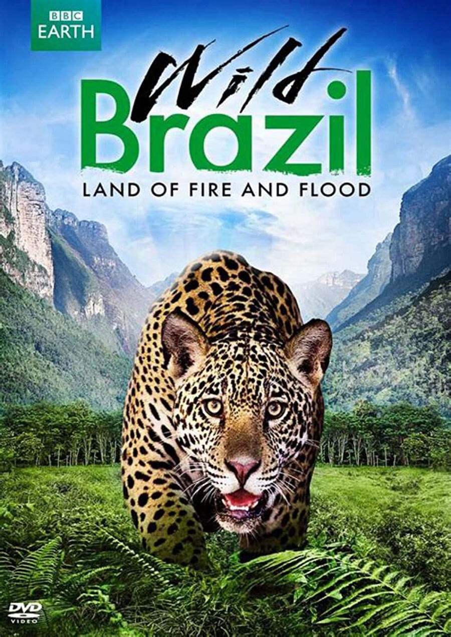 Hình ảnh phim Thiên Nhiên Brazil Hoang Dã