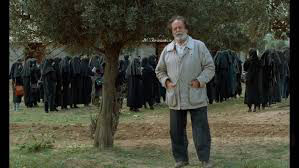 Poster phim Through the Olive Trees