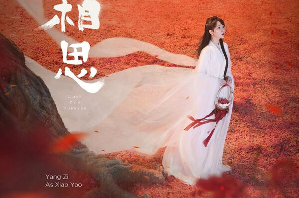 Poster phim Trường Tương Tư